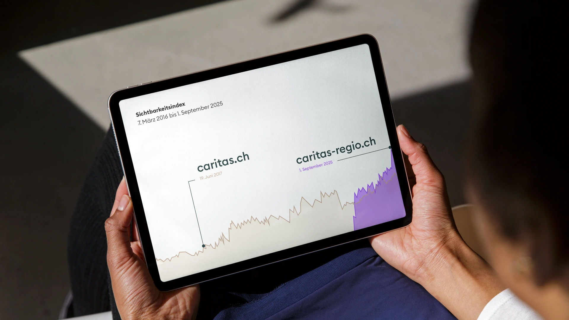 Neustadt Referenz Caritas Sichtbarkeitsindex